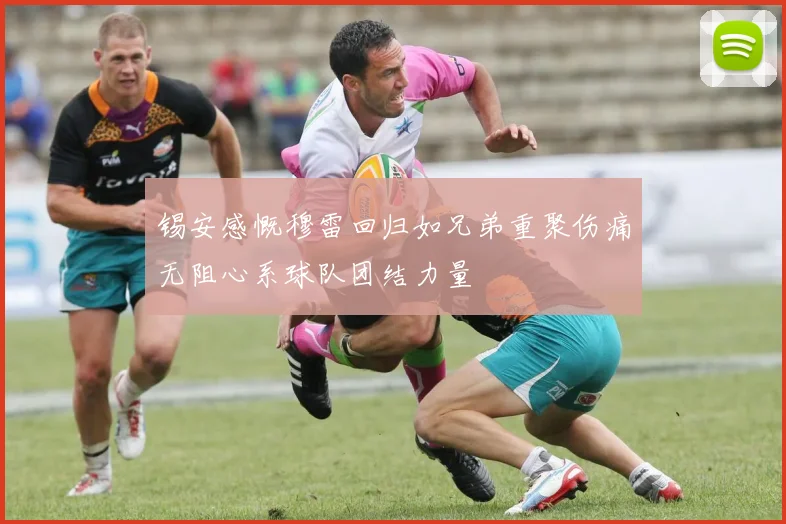 锡安感慨穆雷回归如兄弟重聚伤痛无阻心系球队团结力量